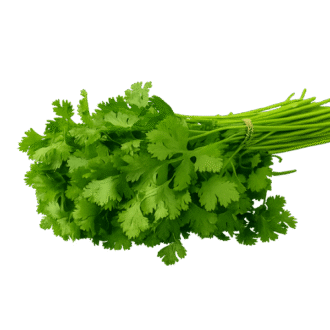 Organic Coriander (without roots)