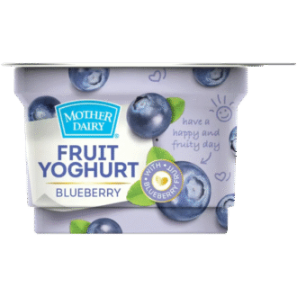 MOTHER DAIRY Blueberry Fruit Yogurt (100 g)
